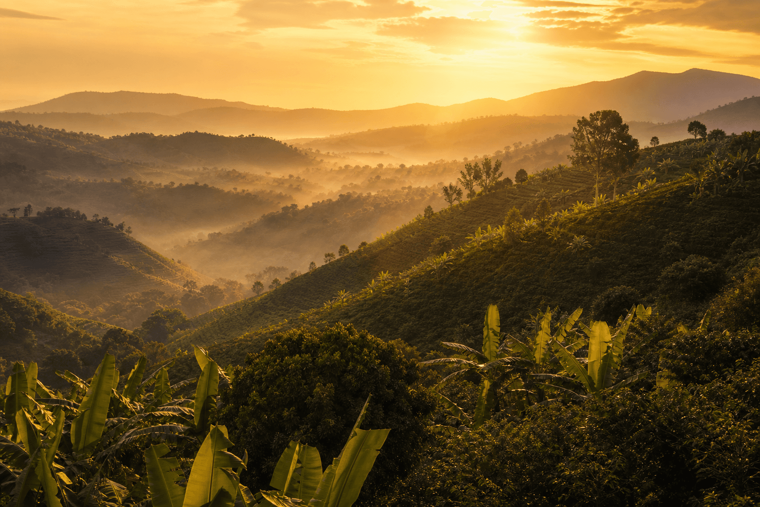 Ugandan dawn over rolling hills — hope rising across the land